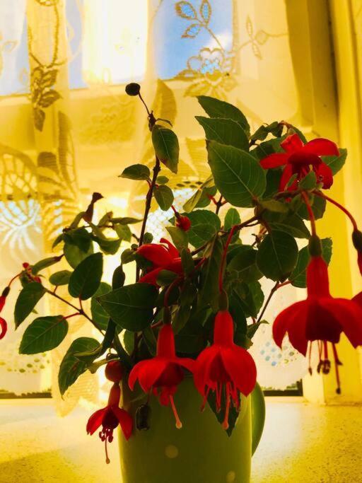 Carpe Diem Rooms Flat Near Zone 1 London Bagian luar foto