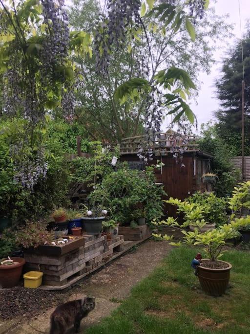 Carpe Diem Rooms Flat Near Zone 1 London Bagian luar foto