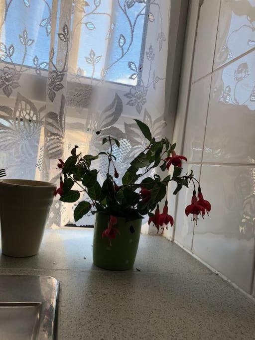 Carpe Diem Rooms Flat Near Zone 1 London Bagian luar foto